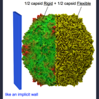 Biggest BioSpring application to date: virus indentation